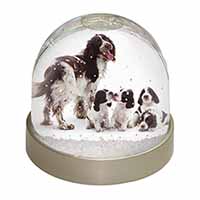 Springer Spaniel Dogs Snow Globe Photo Waterball