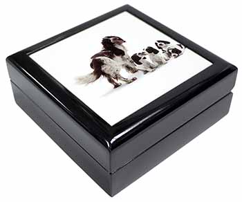 Springer Spaniel Dogs Keepsake/Jewellery Box