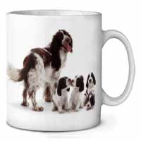Springer Spaniel Dogs Ceramic Coffee Mug/Tea Cup