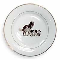 Springer Spaniel Dogs Gold Rim Plate Printed Full Colour in Gift Box