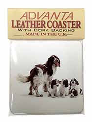 Springer Spaniel Dogs Single Leather Photo Coaster