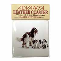 Springer Spaniel Dogs Single Leather Photo Coaster