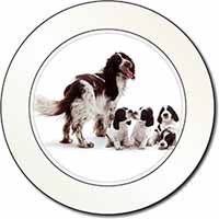 Springer Spaniel Dogs Car or Van Permit Holder/Tax Disc Holder