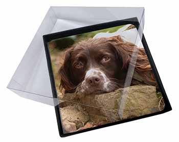 4x Springer Spaniel Dog Picture Table Coasters Set in Gift Box