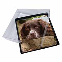 4x Springer Spaniel Dog Picture Table Coasters Set in Gift Box