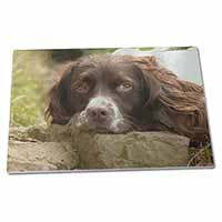 Large Glass Cutting Chopping Board Springer Spaniel Dog