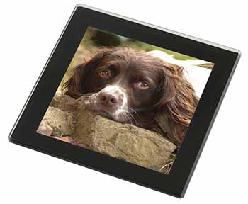 Springer Spaniel Dog Black Rim High Quality Glass Coaster