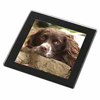 Springer Spaniel Dog Black Rim High Quality Glass Coaster