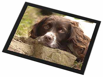 Springer Spaniel Dog Black Rim High Quality Glass Placemat