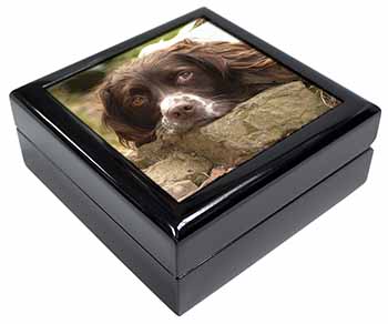 Springer Spaniel Dog Keepsake/Jewellery Box