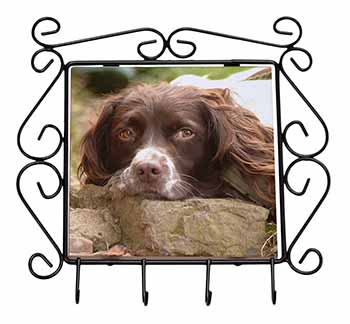 Springer Spaniel Dog Wrought Iron Key Holder Hooks