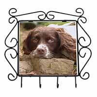 Springer Spaniel Dog Wrought Iron Key Holder Hooks