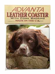 Springer Spaniel Dog Single Leather Photo Coaster