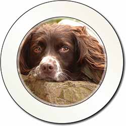 Springer Spaniel Dog Car or Van Permit Holder/Tax Disc Holder