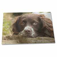 Large Glass Cutting Chopping Board Springer Spaniel 