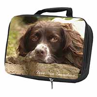 Springer Spaniel 