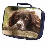 Springer Spaniel 