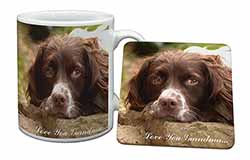 Springer Spaniel 