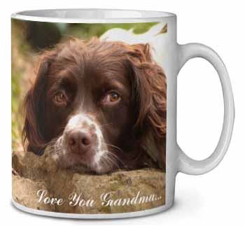 Springer Spaniel 