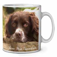 Springer Spaniel 