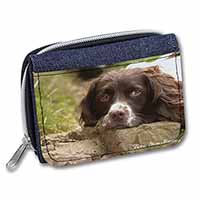 Springer Spaniel Dog 