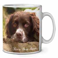 Springer Spaniel Dog 