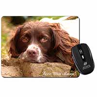 Springer Spaniel Dog 