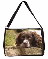 Springer Spaniel Dog 