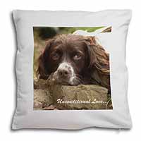 Springer Spaniel 