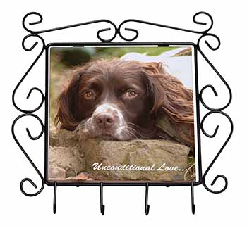 Springer Spaniel 