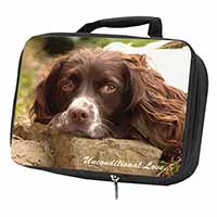 Springer Spaniel 