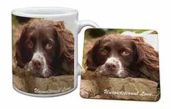 Springer Spaniel 