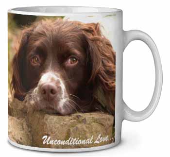 Springer Spaniel 