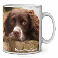 Springer Spaniel 