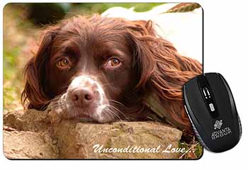 Springer Spaniel 