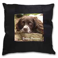 Springer Spaniel Dog 