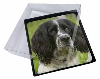 4x Springer Spaniel Dogs Picture Table Coasters Set in Gift Box