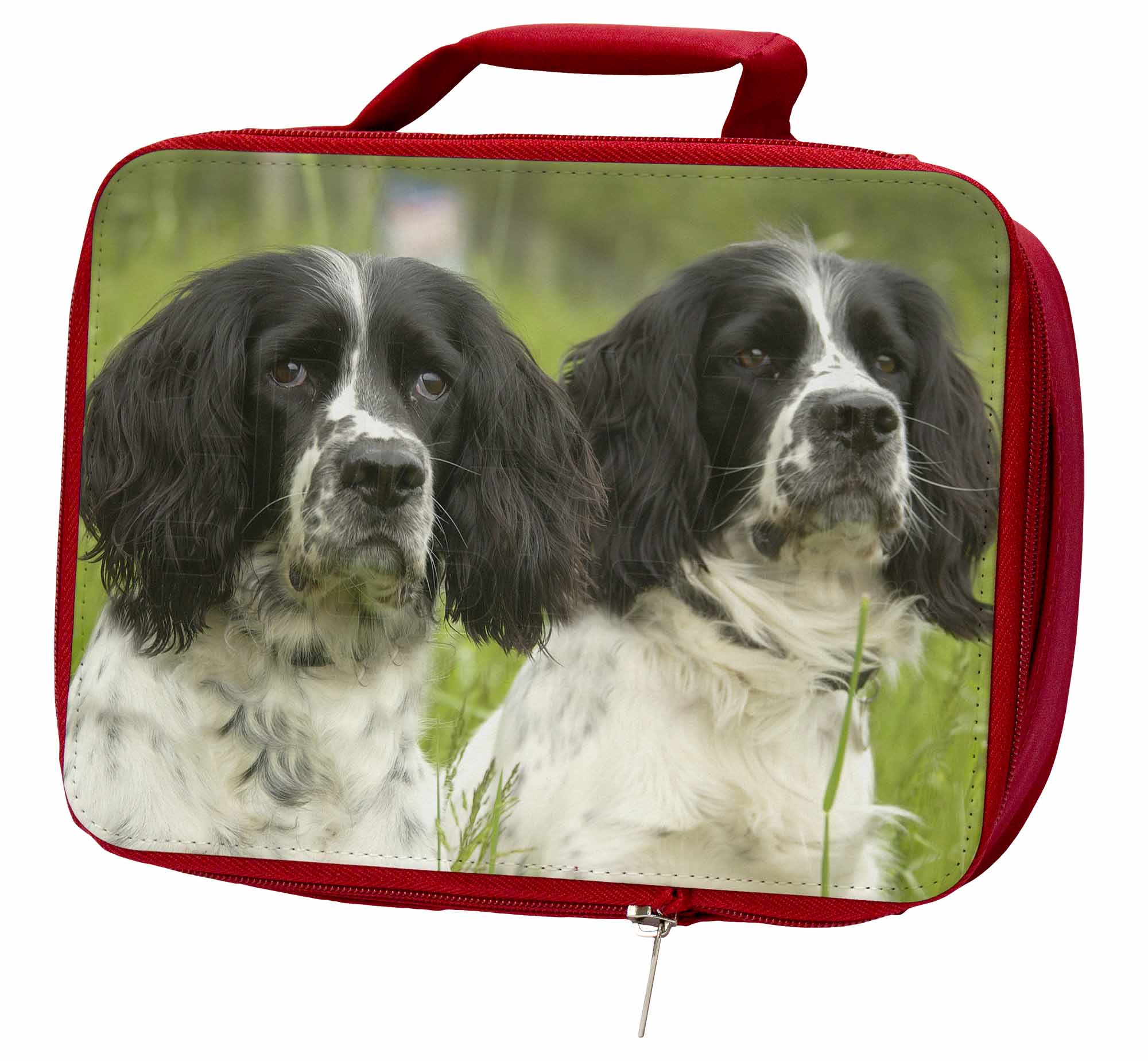 Springer Box/Picnic Spaniel Dogs Insulated Red School Lunch Box/Picnic Springer Bag, AD-SS3LBR e5e8d6 Springer Box/Picnic Spaniel Dogs Insulated Red School Lunch Box/Picnic Springer Bag, AD-SS3LBR e5e8d6