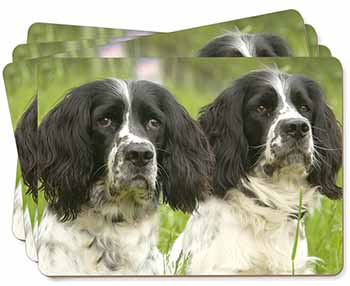 Springer Spaniel Dogs Picture Placemats in Gift Box
