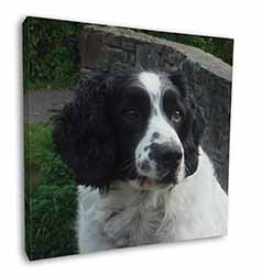 Black and White Springer Spaniel Square Canvas 12"x12" Wall Art Picture Print