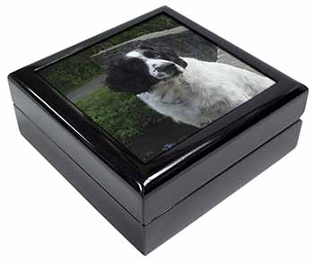 Black and White Springer Spaniel Keepsake/Jewellery Box