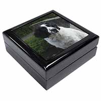 Black and White Springer Spaniel Keepsake/Jewellery Box