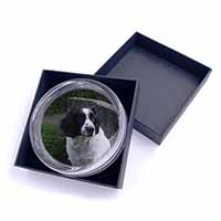 Black and White Springer Spaniel Glass Paperweight in Gift Box