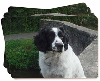 Black and White Springer Spaniel Picture Placemats in Gift Box