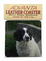 Black and White Springer Spaniel Single Leather Photo Coaster