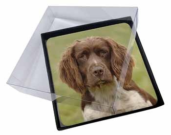 4x Liver Springer Spaniel Dog Picture Table Coasters Set in Gift Box