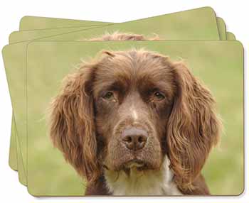 Liver Springer Spaniel Dog Picture Placemats in Gift Box