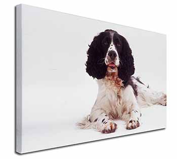 Black and White Springer Spaniel Canvas X-Large 30"x20" Wall Art Print