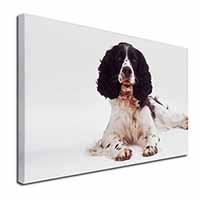 Black and White Springer Spaniel Canvas X-Large 30"x20" Wall Art Print