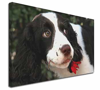 Springer Spaniel Dog and Flower Canvas X-Large 30"x20" Wall Art Print